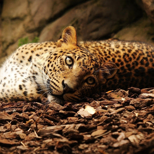 Hd-163708-ascw163708