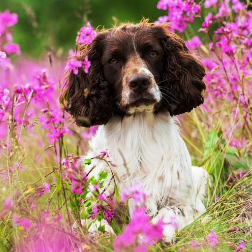 Hd-147558-ascw147558