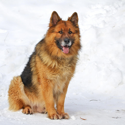 Hd-174817-ascw174817