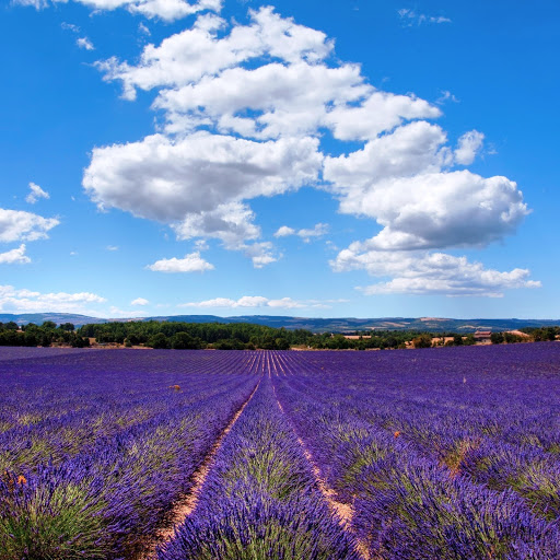 Hd-142240-ascw142240