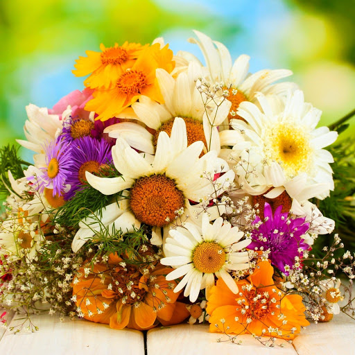 Hd-146253-ascw146253