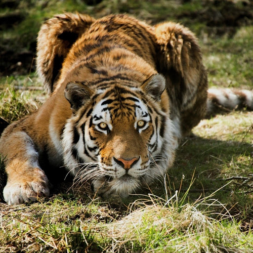 Hd-177608-ascw177608