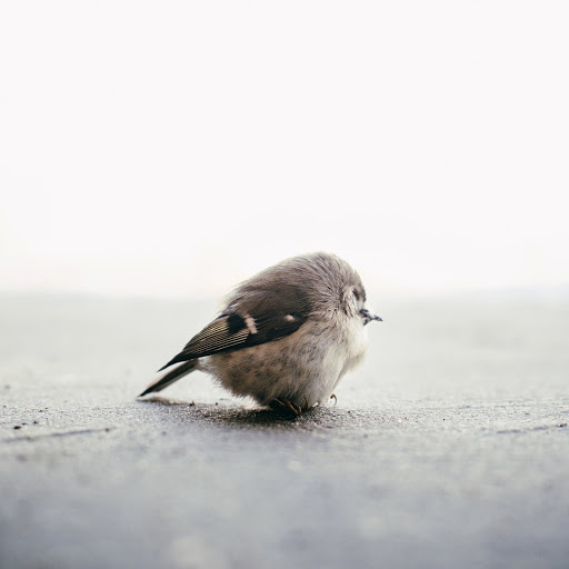 Hd-164252-ascw164252