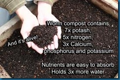 worm compost