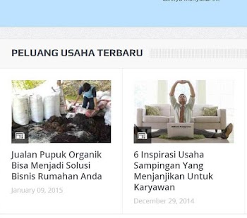 bisnis menguntungkan internet