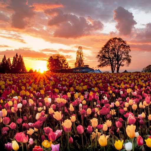 Hd-145934-ascw145934