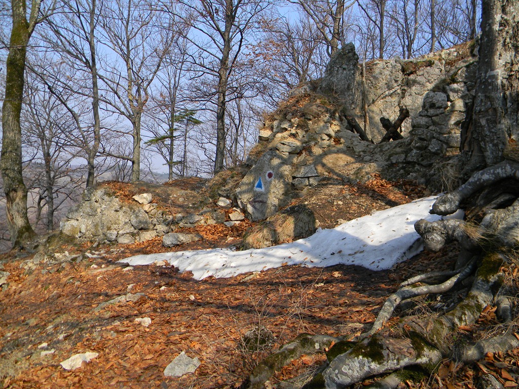 [DSCN73963.jpg]