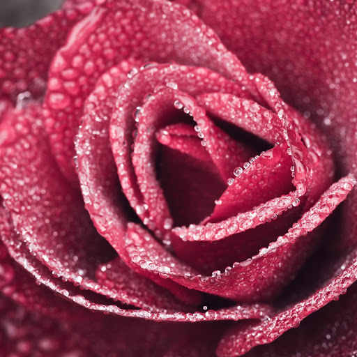 Hd-164292-ascw164292