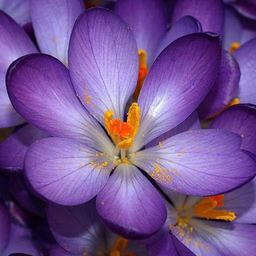 Hd-172667-ascw172667