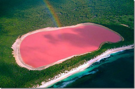 Australia - lac roz
