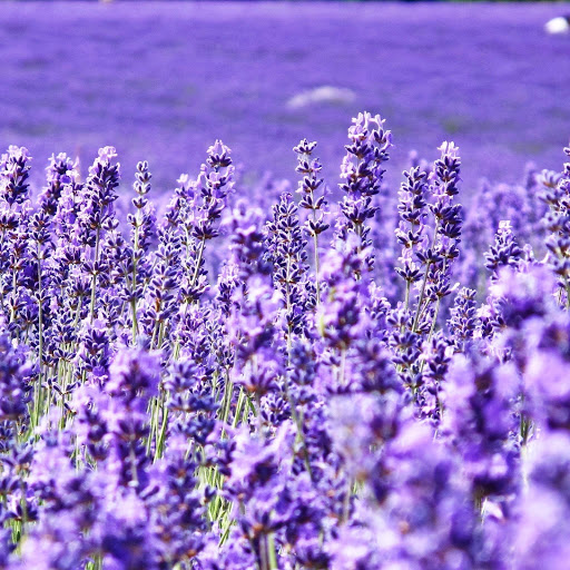 Hd-142660-ascw142660