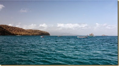 carriacuoIMG_5259 carriacuoIMG_5259
