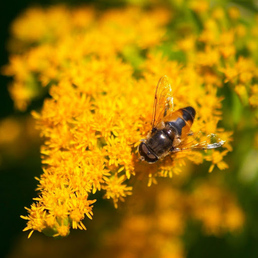 Hd-149709-ascw149709