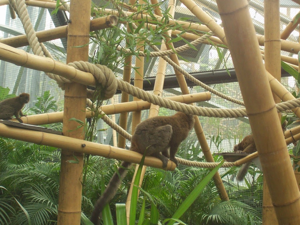 [2014.04.21-054-grand-hapalmur5.jpg]