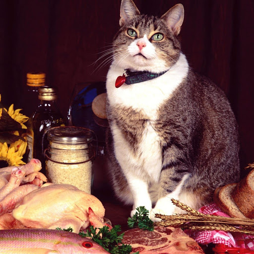 Hd-174241-ascw174241