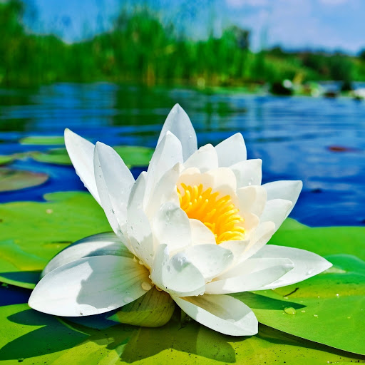 Hd-146302-ascw146302