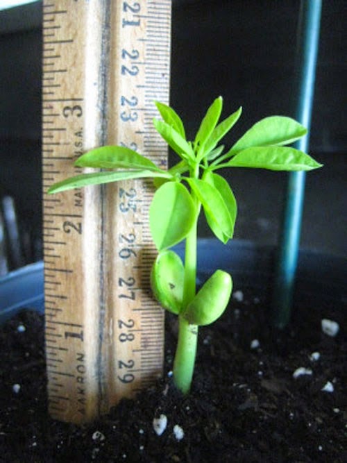 [clip_image002%255B3%255D.jpg]