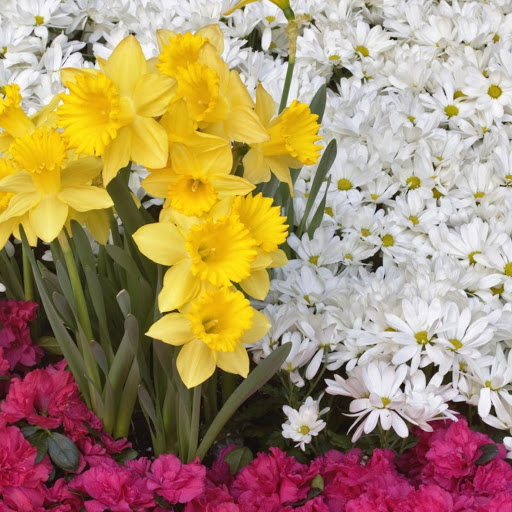 Hd-141197-ascw141197