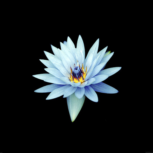 Hd-138529-ascw138529