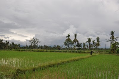 DSC_0911.JPG