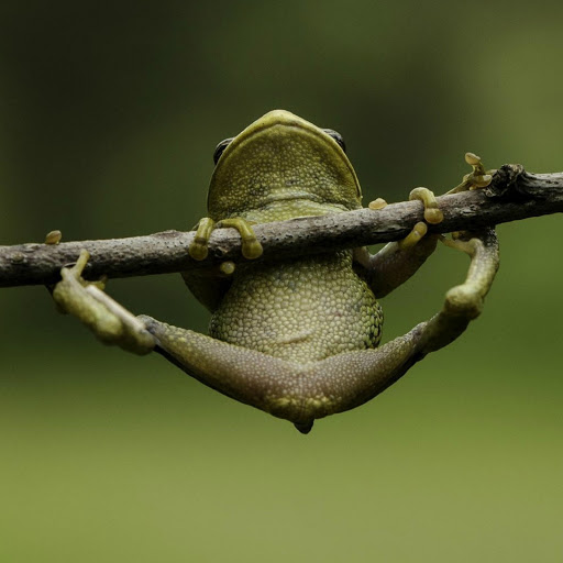 Hd-180625-ascw180625