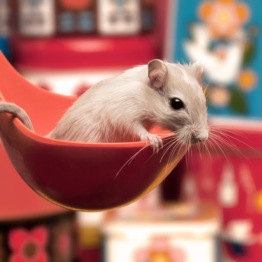 Hd-169083-ascw169083