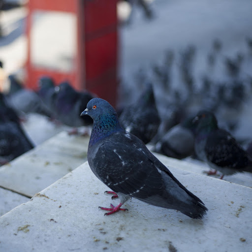 Hd-178140-ascw178140