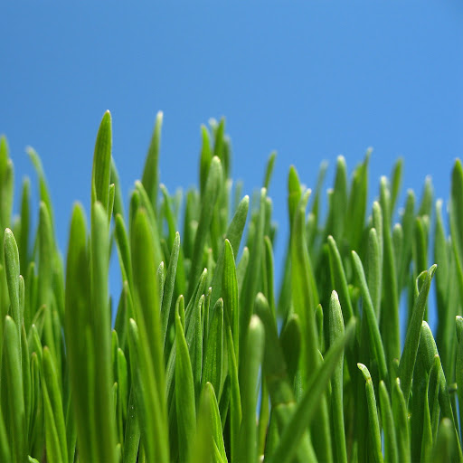 Hd-176227-ascw176227