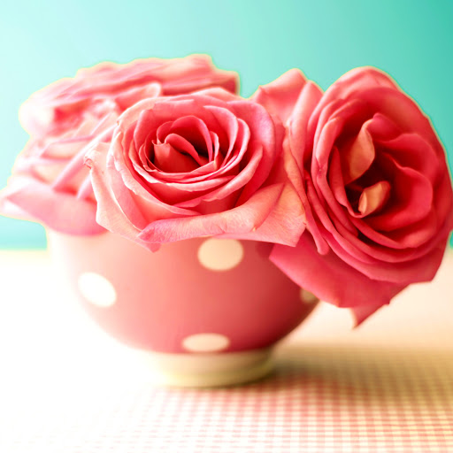 Hd-162965-ascw162965