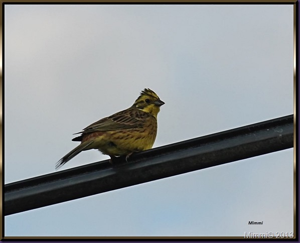 IMG_2348 IMG_2348