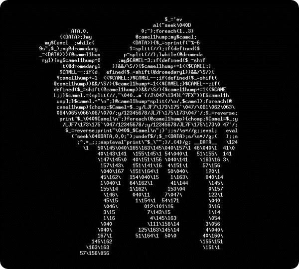 perl-camel-source-code