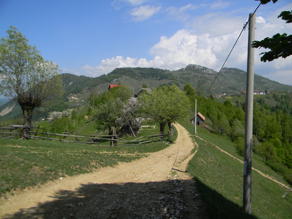 [DSCN87673.jpg]