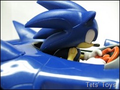 Sonic Speed Star (28)