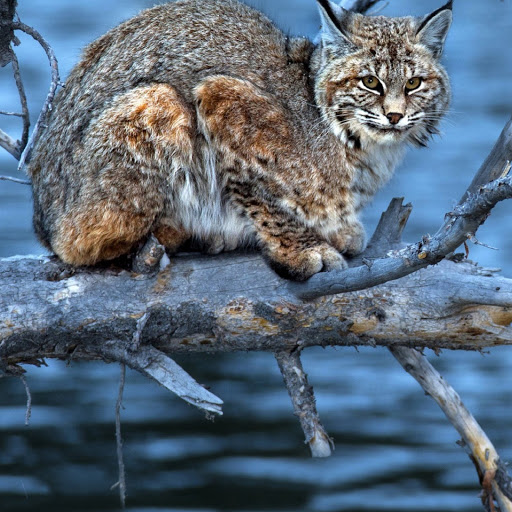 Hd-180348-ascw180348