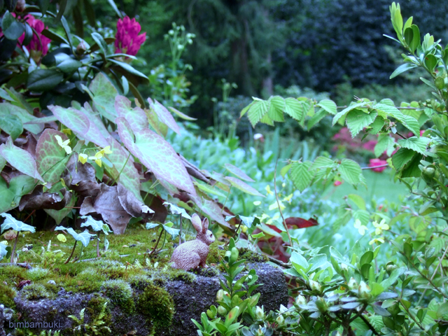 Bimbambuki Der Hase Sitzt Im Garten
