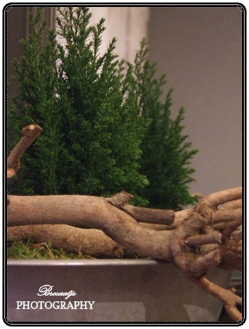 [20111214_5%255B7%255D.jpg]