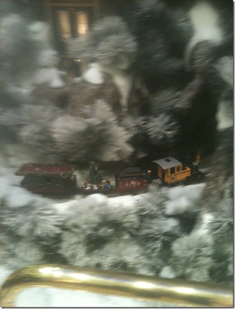 004 Train in Tree Display