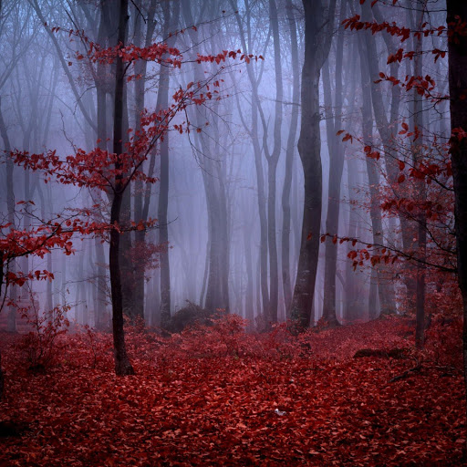 Hd-142870-ascw142870