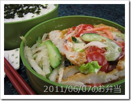 魚肉天ぷらサラダ弁当