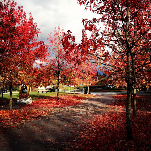 Hd-161178-ascw161178