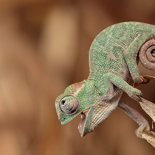 Hd-149332-ascw149332