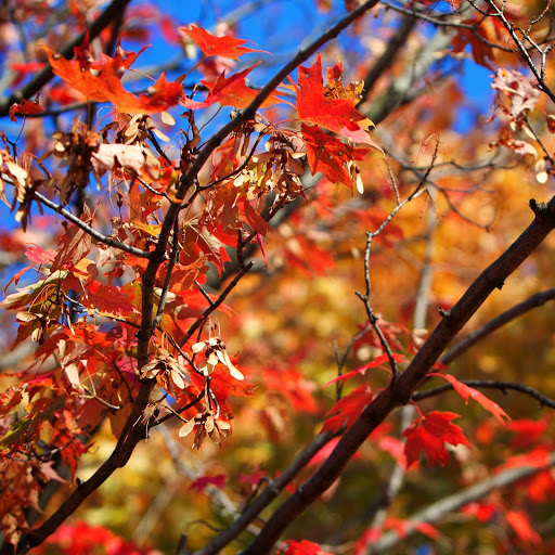 Hd-146991-ascw146991