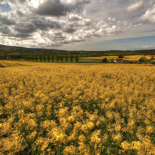 Hd-132693-ascw132693