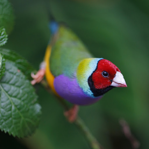 Hd-163712-ascw163712