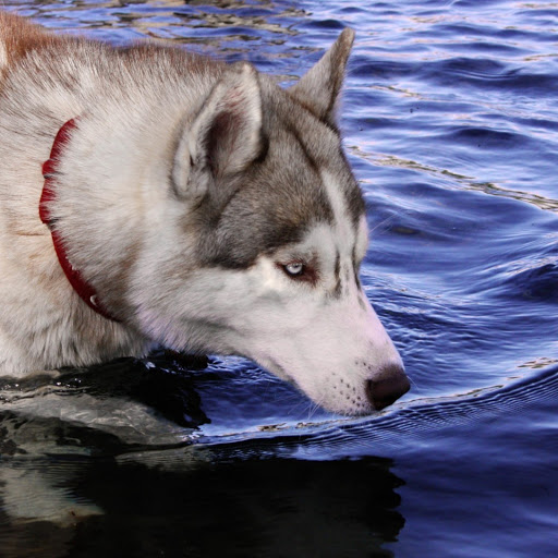 Hd-179951-ascw179951