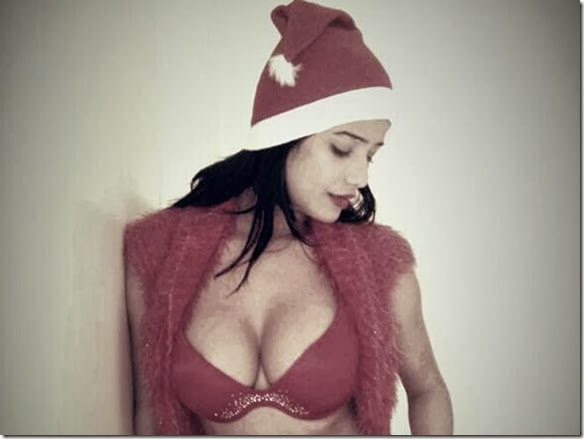 Poonam-pandey xmas wishes (2)