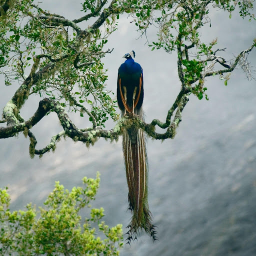 Hd-157193-ascw157193