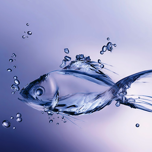 Hd-141719-ascw141719