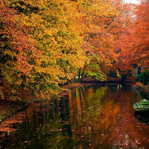 Hd-165101-ascw165101