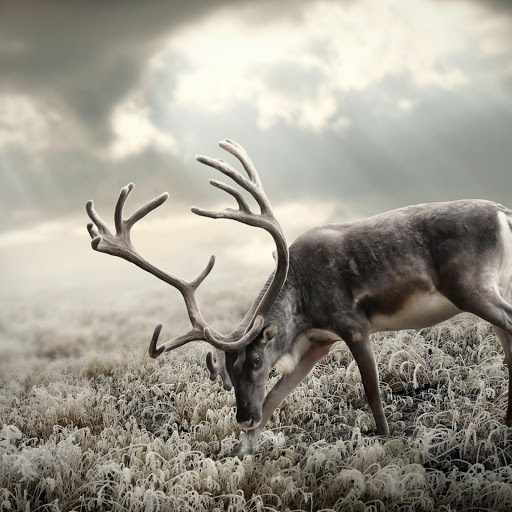 Hd-156723-ascw156723